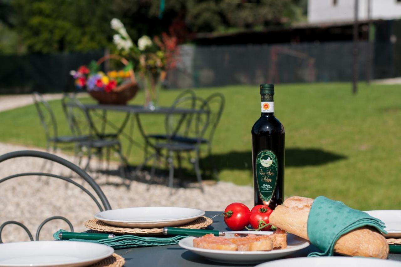 Agriturismo Villa Sardini Λούκα Εξωτερικό φωτογραφία