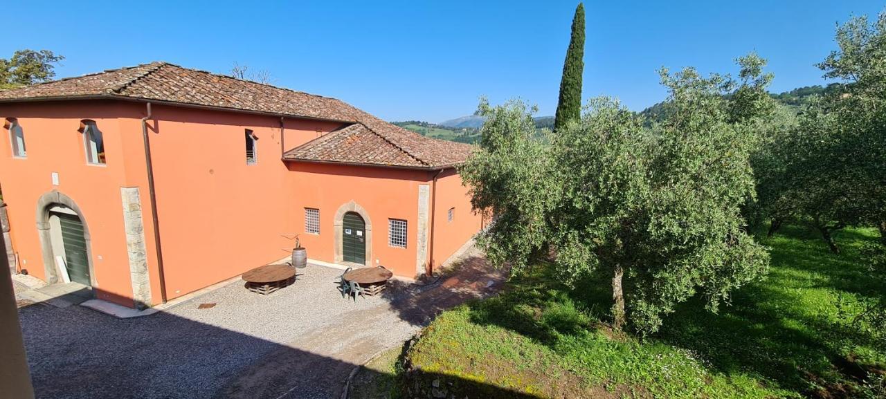 Agriturismo Villa Sardini Λούκα Εξωτερικό φωτογραφία