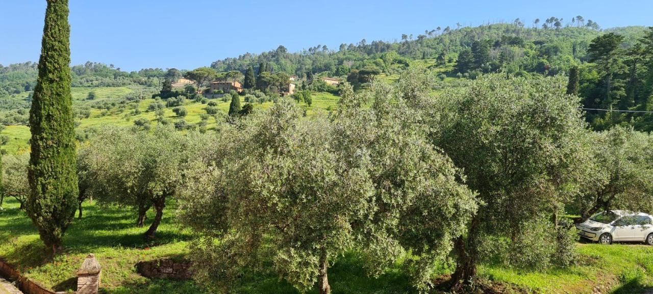 Agriturismo Villa Sardini Λούκα Εξωτερικό φωτογραφία