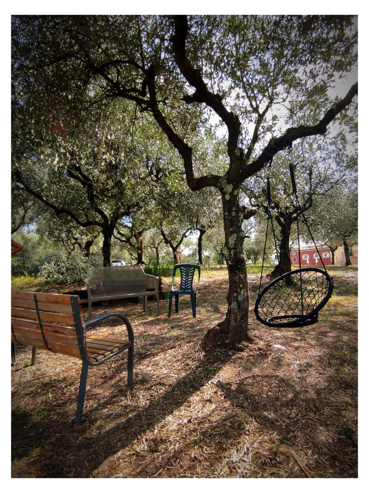 Agriturismo Villa Sardini Λούκα Εξωτερικό φωτογραφία